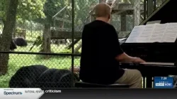 What's Trending: Bear Concert