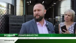 Малките винарни у нас - предизвикателства