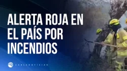 Emergency in 6 departments due to forest fires: aerial deployment in affected areas