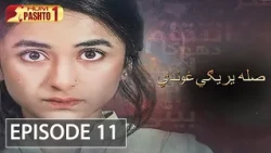 Sila Yarigi Ghunde | Episode 11 | HUM Pashto 1