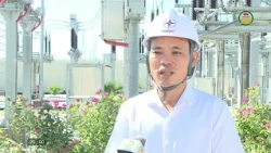 Power Planning and Development in Economic Zones