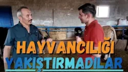 Farmer TV