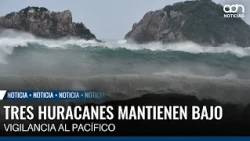 Three hurricanes keep the Pacific under watch; Polo leaves severe damage in Colima