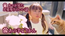 【はかねこ日記】ネコが見たお墓参りのちょっといい話！ネコの声はともさかりえ【第1回あの芋ようかん】#ネコ #猫 #ともさかりえ #お墓参り #猫のいる暮らし #猫動画  #猫好きさんと繋がりたい