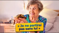Seniors Who Refuse to Give Up Their Pets - Full Report