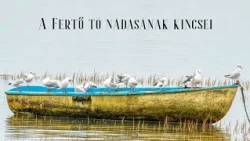 A Fertő tó nádasának kincsei
