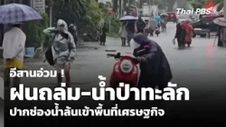 Northeast Devastated! Heavy Rains and Flash Floods - Pak Chong Economic Zone Flooded | Evening Ne...