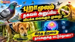 Shark எப்படி தன்னுடைய இரையை துல்லியமாக கண்டுபிடிக்கிறது? | Therinthu Kolvom | Vasanth TV
