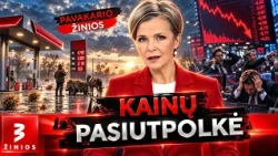 Dyzelis – 2,40 Eur. Kas toliau?