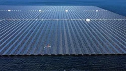 'A powerful buffer': How solar saved the EU €37.4 billion since the war on Iran began