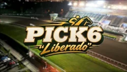 ESPECIAL PICK 6 LIBERADO - 24SETIEMBRE2026