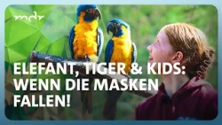 Wenn die Masken fallen! (Folge 1) | Elefant, Tiger & Kids | Staffel 4 | MDR