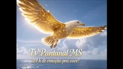 VINHETA 12 ANO 2026