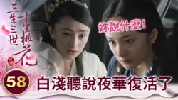 天真公主遇戲友大談已故表哥往事 殊不知眼前的人就是寡嫂【三生三世十里桃花】精華 EP58-5 楊冪、趙又廷、迪麗熱巴、高偉光、張智堯 @ctvdrama_classic