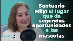 Santuario Mily: El lugar que da segundas  oportunidades a las mascotas