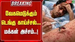 #BREAKING || Dengue fever spreading rapidly... Public in fear..! | NewsJ