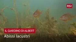 What’s beneath Lake Lugano? | Il Giardino di Albert | RSI