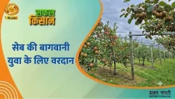 सफल किसान : सेब की बागवानी युवा के लिए वरदान | Safal Kisan | Sep.20, 2026