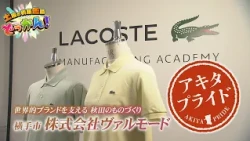 Visiting the Lacoste apparel sewing factory in Yokote City✨ "Saturday Information Blast!" ◆Akita ...