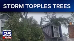 Powerful nor’easter leaves trail of damage across Massachusetts
