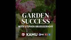 Garden Success — Dormant or Dead? A Lawn Recovery Guide for Coming Out of Summer
