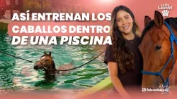 The Power of Horses: How Equine Therapy Works | Dr. Lau Vet | Teleantioquia