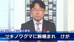 Another bear attack in Wakayama: Hiker bitten on right arm and slips down slope; World Heritage K...