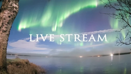 Aurora Alert Realtime Live Northern Lights