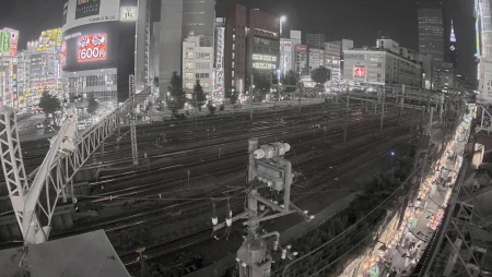 Tokyo - Shinjuku - Omoide Yokocho
