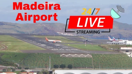 Live Plane Spotting at Madeira Airport, Portugal