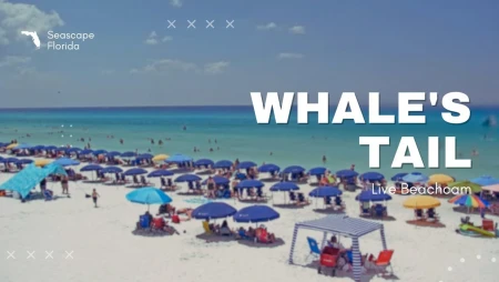 Whale's Tail at Seascape, Florida