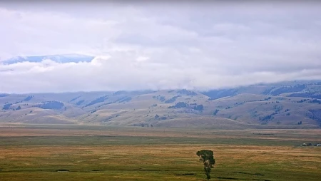 National Museum of Wildlife Art - Elk Refuge