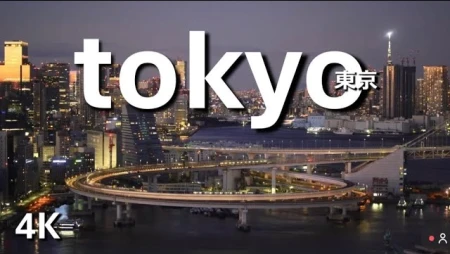 Tokyo Bay and Rainbow Bridge