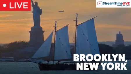 New York Harbor Live from Brooklyn