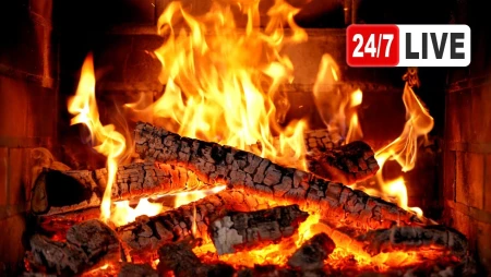 Cozy Fireplace with Crackling Fire Sounds