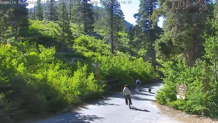 Tamarack - Mountain View